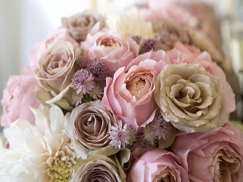 bukiet różowych kwiatów w różnych kolorach